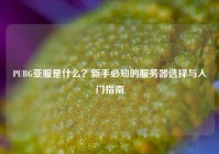 PUBG亚服是什么？新手必知的服务器选择与入门指南