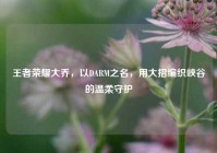 王者荣耀大乔，以DARM之名，用大招编织峡谷的温柔守护