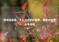 雪缘园直播，不止足球即时赛事，更是球迷热血集结地