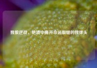 独狼逆战，绝境中撕开命运裂缝的独弹头