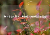 如何参加足协杯，从资格到流程的完整指南