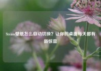 Steam壁纸怎么自动切换？让你的桌面每天都有新惊喜