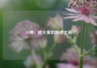 CF禅，枪火里的静修之道