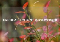 CSGO开箱总开不出好东西？这4个真相你得知道