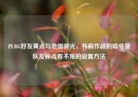 PUBG好友黄点与地图微光，并肩作战的暗号及队友标点看不见的设置方法
