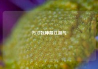 方寸乾坤藏江湖气