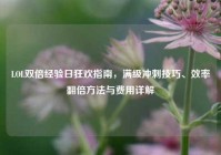 LOL双倍经验日狂欢指南，满级冲刺技巧、效率翻倍方法与费用详解