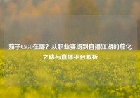 茄子CSGO在哪？从职业赛场到直播江湖的茄化之路与直播平台解析
