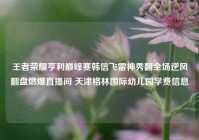 王者荣耀亨利巅峰赛韩信飞雷神秀翻全场逆风翻盘燃爆直播间 天津格林国际幼儿园学费信息