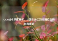 CSGO战术深度解析，从团队分工到地图控制的制胜密码