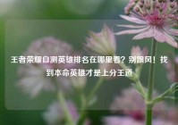 王者荣耀自测英雄排名在哪里看？别跟风！找到本命英雄才是上分王道