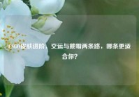 CSGO皮肤进阶，交运与戴帽两条路，哪条更适合你？