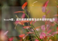 Steam90度，温热朦胧里藏着生活未说尽的张力