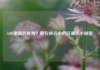 LOL里真的有狗？藏在峡谷中的汪星人小秘密