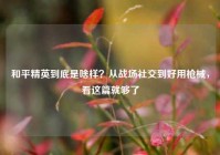 和平精英到底是啥样？从战场社交到好用枪械，看这篇就够了