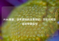 PUBG美版，战术竞技的北美印记、文化共鸣及审诉申请指引