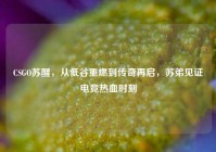 CSGO苏醒，从低谷重燃到传奇再启，苏弟见证电竞热血时刻