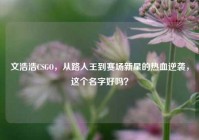 文浩浩CSGO，从路人王到赛场新星的热血逆袭，这个名字好吗？