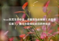 Steam饥荒生存必备，衣服背包全解析（含背包位置），新手也能轻松抗住四季挑战