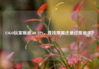 CSGO玩家疯追500 FPS，竞技刚需还是过度追求？