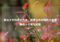 拳台之外的峡谷热血，前拳王木村翔的王者荣耀战斗日常与战绩