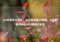 2010世界杯法国队，内讧撕裂高卢雄鸡，从亚军到小组垫底的断崖式坠落