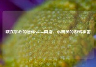 藏在掌心的迷你Steam商店，小而美的游戏宇宙