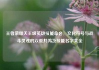 王者荣耀天王级英雄技能命名，文化符号与战斗灵魂的双重共鸣及技能名字大全