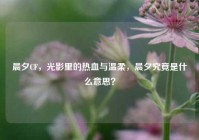 晨夕CF，光影里的热血与温柔，晨夕究竟是什么意思？