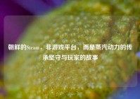 朝鲜的Steam，非游戏平台，而是蒸汽动力的传承坚守与玩家的故事