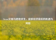 Steam交易与绝地求生，皮肤经济背后的机遇与风险