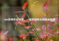 2008世界杯足球赛，一场跨越时光的绿茵遐想