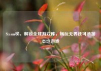Steam梯，解锁全球游戏库，畅玩无界还可添加本地游戏