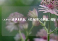 CSGO AUG皮肤全收录，从经典到个性的魅力图鉴