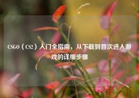CSGO（CS2）入门全指南，从下载到首次进入游戏的详细步骤
