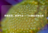 燃情东京，逐梦不止——2021奥运会观后感