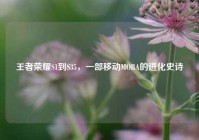 王者荣耀S1到S35，一部移动MOBA的进化史诗