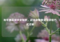 和平精英披风全解析，战场荣耀象征及获取方式详解