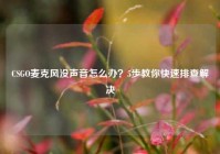 CSGO麦克风没声音怎么办？5步教你快速排查解决