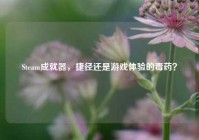 Steam成就器，捷径还是游戏体验的毒药？