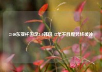 2010东亚杯国足3-0韩国 32年不胜魔咒终破冰