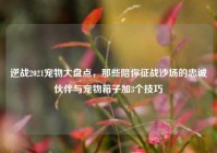 逆战2021宠物大盘点，那些陪你征战沙场的忠诚伙伴与宠物箱子加3个技巧