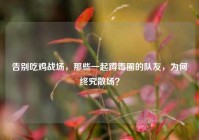 告别吃鸡战场，那些一起蹲毒圈的队友，为何终究散场？