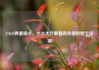 CSGO界面缩小，小小大厅藏着竞技者的整个江湖
