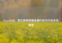 Steam认证，独立游戏的镀金通行证与行业生态重塑