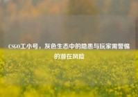 CSGO工小号，灰色生态中的隐患与玩家需警惕的潜在风险