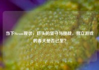 当下Steam现状，巨头的坚守与挑战，独立游戏的春天是否已至？