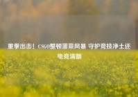 重拳出击！CSGO整顿菠菜风暴 守护竞技净土还电竞清朗