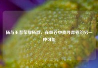 杨与王者荣耀杨戬，在峡谷中找寻青春的另一种可能