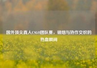 国外顶尖真人CSGO团队赛，硝烟与协作交织的热血瞬间